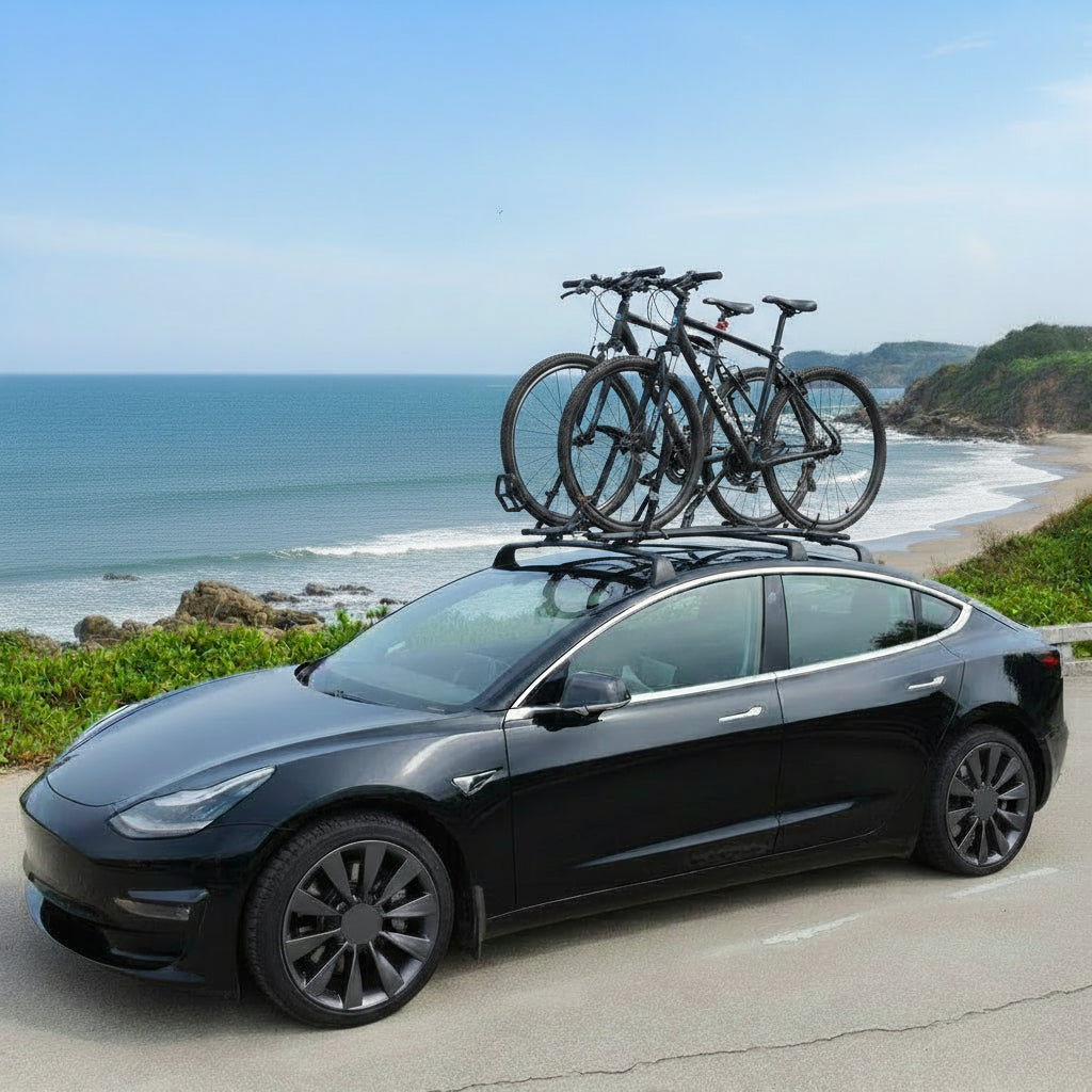 AD nice for Tesla Model Y/Model 3 Highland Roof Racks (Set of 2)